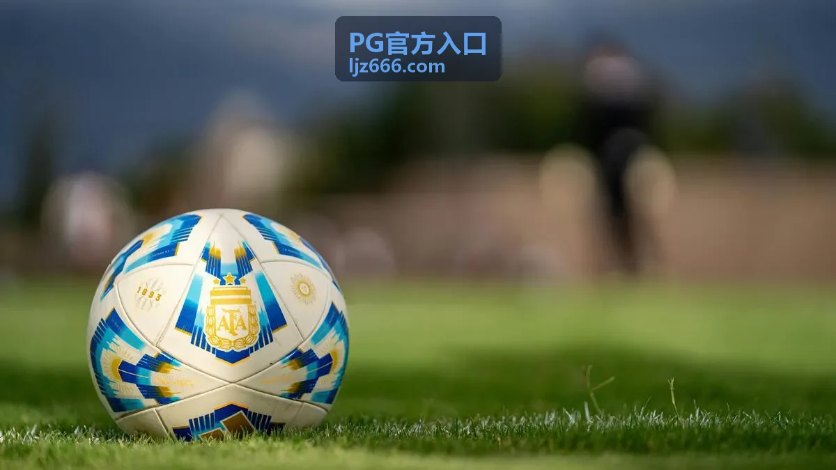 PG官方入口 页面加载完成后的确认步骤